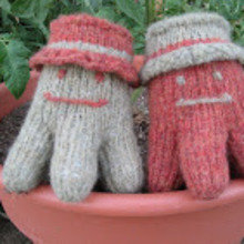 Pentapi_in_flower_pot