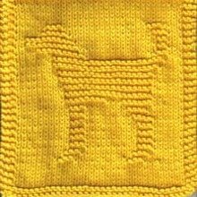 Dog_cloth