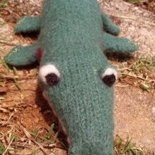 Ally_gator