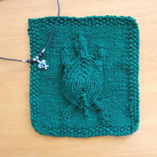 Turtle_pine_green_2461_600