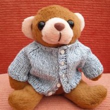 Teddy_in_cardigan