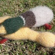 0810_duck-both