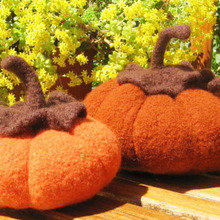 Pumpkinsbeauty